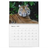 Große Katzen am Chester-Zoo-Kalender Kalender (Feb 2027)
