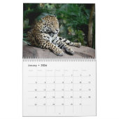 Große Katzen am Chester-Zoo-Kalender Kalender (Jan 2026)