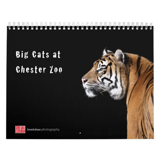 Große Katzen am Chester-Zoo-Kalender Kalender (Titelbild)