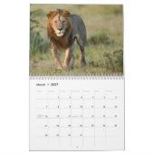 Große Katzen des Masai Mara, Kenya-Kalender Kalender (Mär 2027)