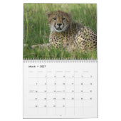 Große Katzen des Weltkalenders Kalender (Mär 2027)