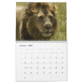 Große Katzen des Weltkalenders Kalender (Jan 2027)
