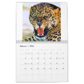 GROSSE KATZEN! Kalender (Feb 2026)