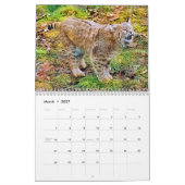 GROSSE KATZEN! Kalender (Mär 2027)