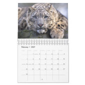 Große Katzen Kalender (Feb 2027)