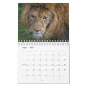 Große Katzen Kalender (Mär 2027)