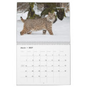 Große Katzen-Kalender Kalender (Mär 2027)