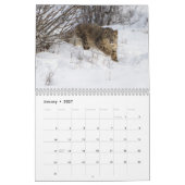 Große Katzen-Kalender Kalender (Jan 2027)