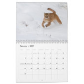 Große Katzen-Kalender Kalender (Feb 2027)