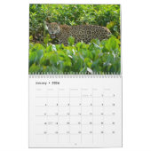 Große Katzen! Löwe, Leopard, Gepard, Kalender (Jan 2026)