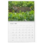 Große Katzen! Löwe, Leopard, Gepard, Kalender (Jan 2027)