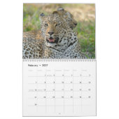 Große Katzen! Löwe, Leopard, Gepard, Kalender (Feb 2027)