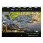 Große Katzen von Südafrika-Kalender Kalender (Titelbild)