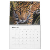 GROSSE KATZEN WILDLIFE ART CALENDAR KALENDER (Mär 2027)