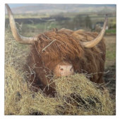Große Keramik Tile Funny Scottish Highland Cow! Fliese (Vorderseite)