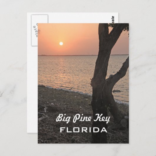 Große Kiefern-Schlüssel-Sonnenaufgang-Postkarte Postkarte (Vorne/Hinten)