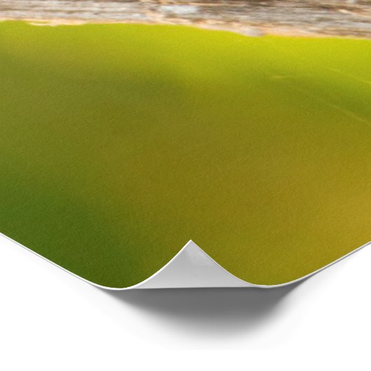 Große Kiskadee, die von Perch aus anruft Poster (Ecke)