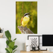 Große Kiskadee, die von Perch aus anruft Poster (Heimbüro)