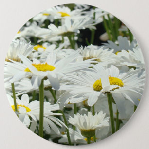 Große Knopftaste Glückliche Weiße Gänseblümchen Bl Button
