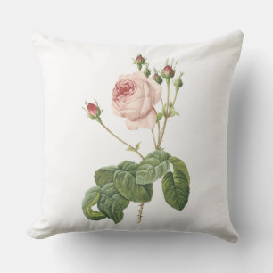 große Kohl-leaved Rose durch Redouté Kissen Für Draußen
