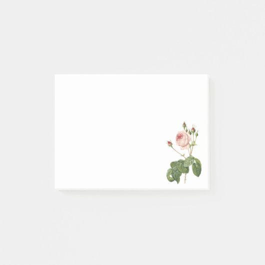 große Kohl-leaved Rose durch Redouté Post-it Klebezettel (Vorderseite)