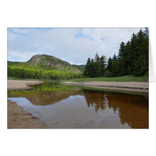 Große Kopfbesinnung am Sandstrand
