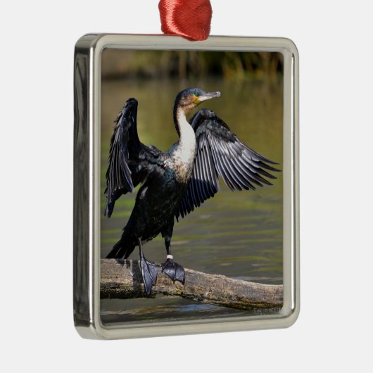 Große Kormorane mit geöffneten Flügeln Ornament Aus Metall (Rechts)