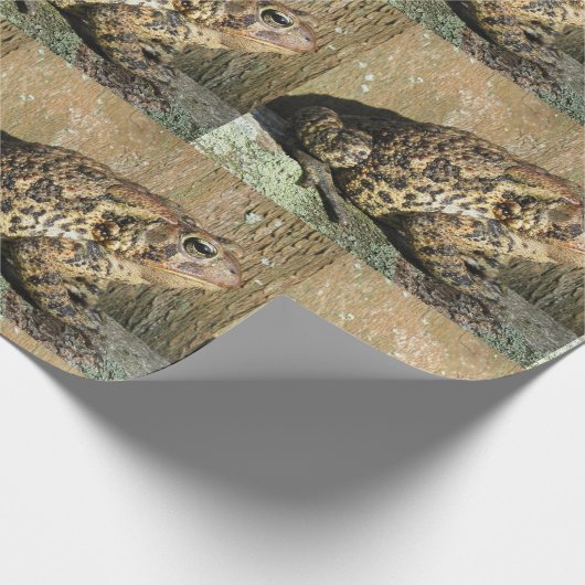 Große Kröte Geschenkpapier (Ecke)