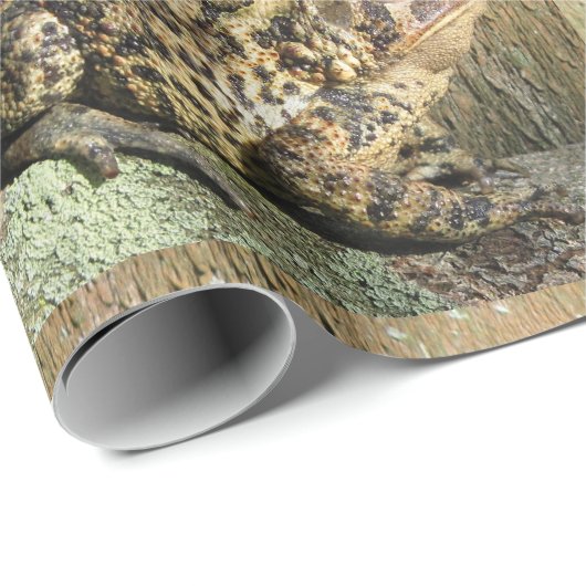 Große Kröte Geschenkpapier (Rolleneckpunkt)