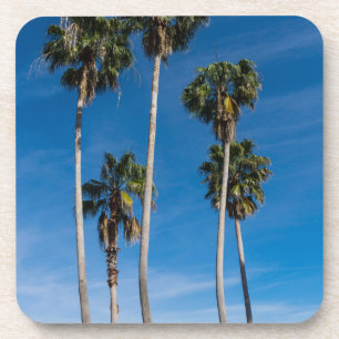 Große Krümmungspalmen Getränkeuntersetzer