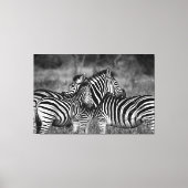 Große Leinwand Print - afrikanisches Zebra (Vorderseite)