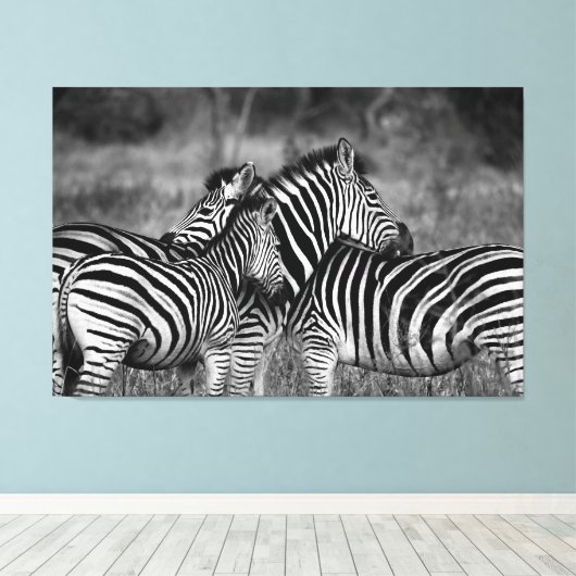 Große Leinwand Print - afrikanisches Zebra (Insitu (Holzboden))