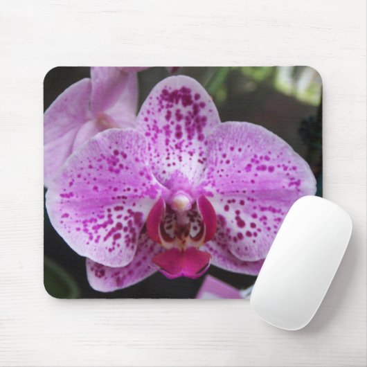 Große lila Orchideen-Mausunterlage Mousepad (Mit Mouse)