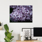 Große Lilac Blooms Poster (Heimbüro)