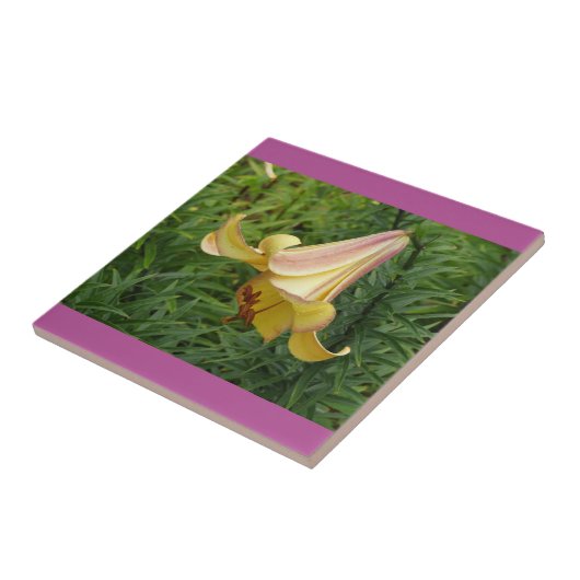 Große Lilie Dekorative Fliese (Seite)