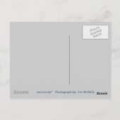 Große Mauer der China Postkarte (Rückseite)