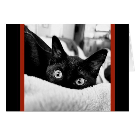 Große Mit Augen Mitteilungskarten (Vorderseite (Horizontal))