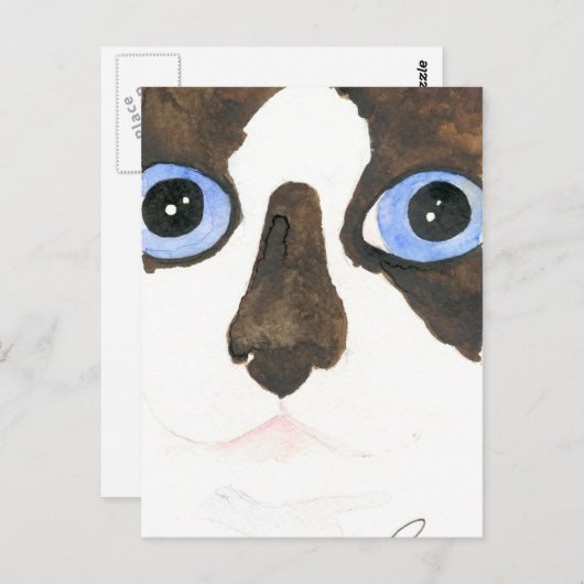 Große Mit Augen Schneeschuhkatze Postcard Postkarte (Vorne/Hinten)