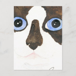 Große Mit Augen Schneeschuhkatze Postcard Postkarte
