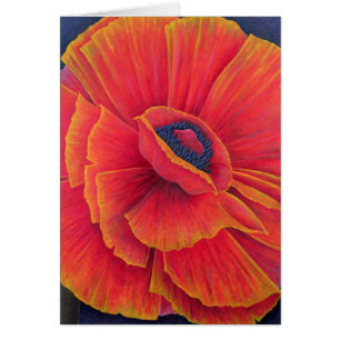 Große Mohnblume 2003