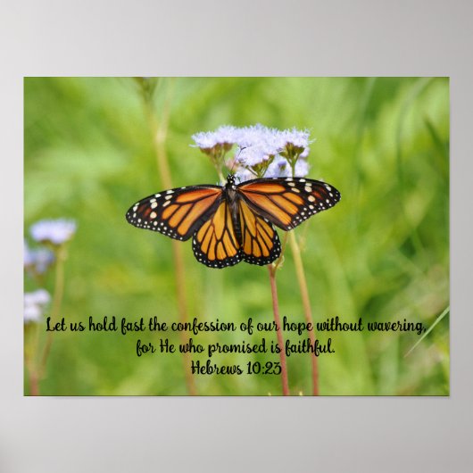 Große Monarchen Schmetterling auf Wildblumen Poste Poster (Vorne)