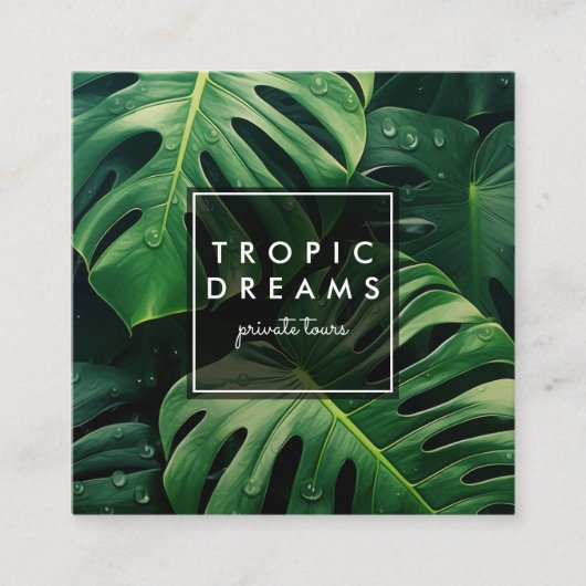 Große Monstera Leaf Botanischer Garten Fotografie Quadratische Visitenkarte (Vorderseite)