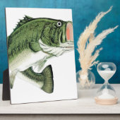 Große Mouth Bass Fotoplatte (Seite)