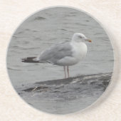 Große Möwe Getränkeuntersetzer (Vorne)