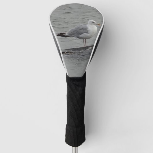 Große Möwe Golf Headcover (Vorderseite)