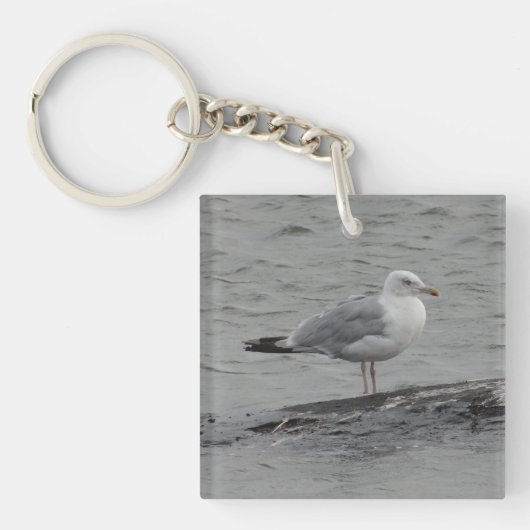 Große Möwe Schlüsselanhänger (Vorderseite)