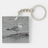 Große Möwe Schlüsselanhänger (Rückseite)