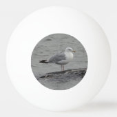 Große Möwe Tischtennisball (Rückseite)