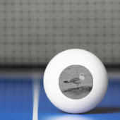 Große Möwe Tischtennisball (Netto)