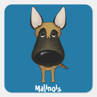 Große Nase Malinois Quadratischer Aufkleber